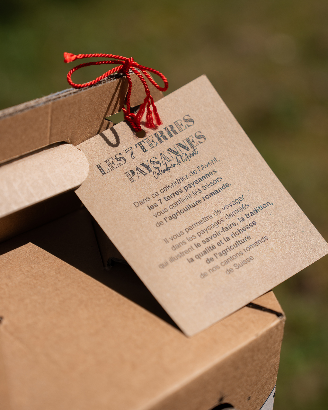 Calendrier de l'Avent 2026 - 7 Terres paysannes